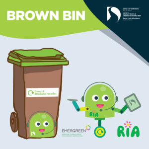 What goes in my brown bin