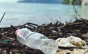 Plastic